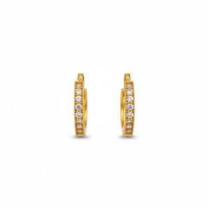 Ahsas “Royal Gleam” Gold-Plated Earrings